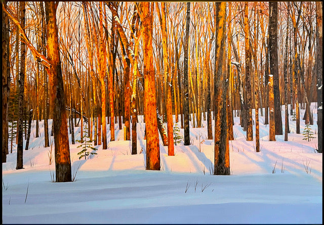 A Better Position Of The Sun (Giclée) - Lee Munn