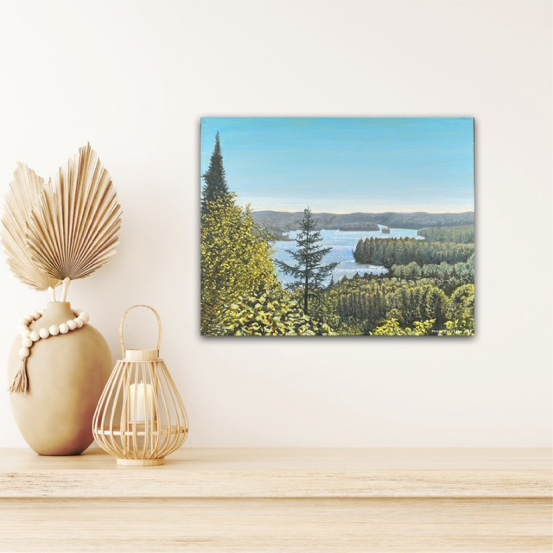 Track & Tower Trail, Algonquin Park 2025 - John Kinsella