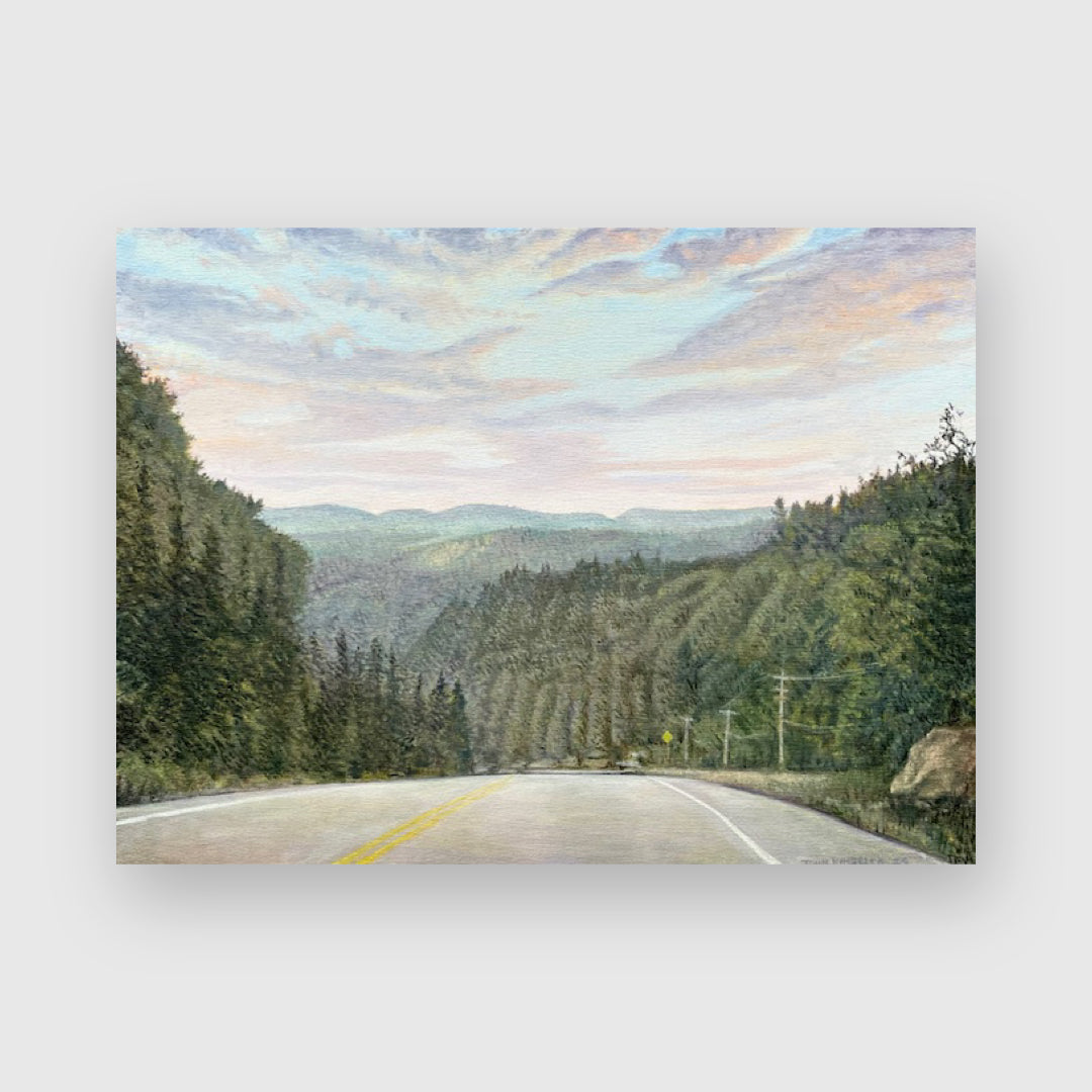 Highway 60, Algonquin Park 2025 - John Kinsella