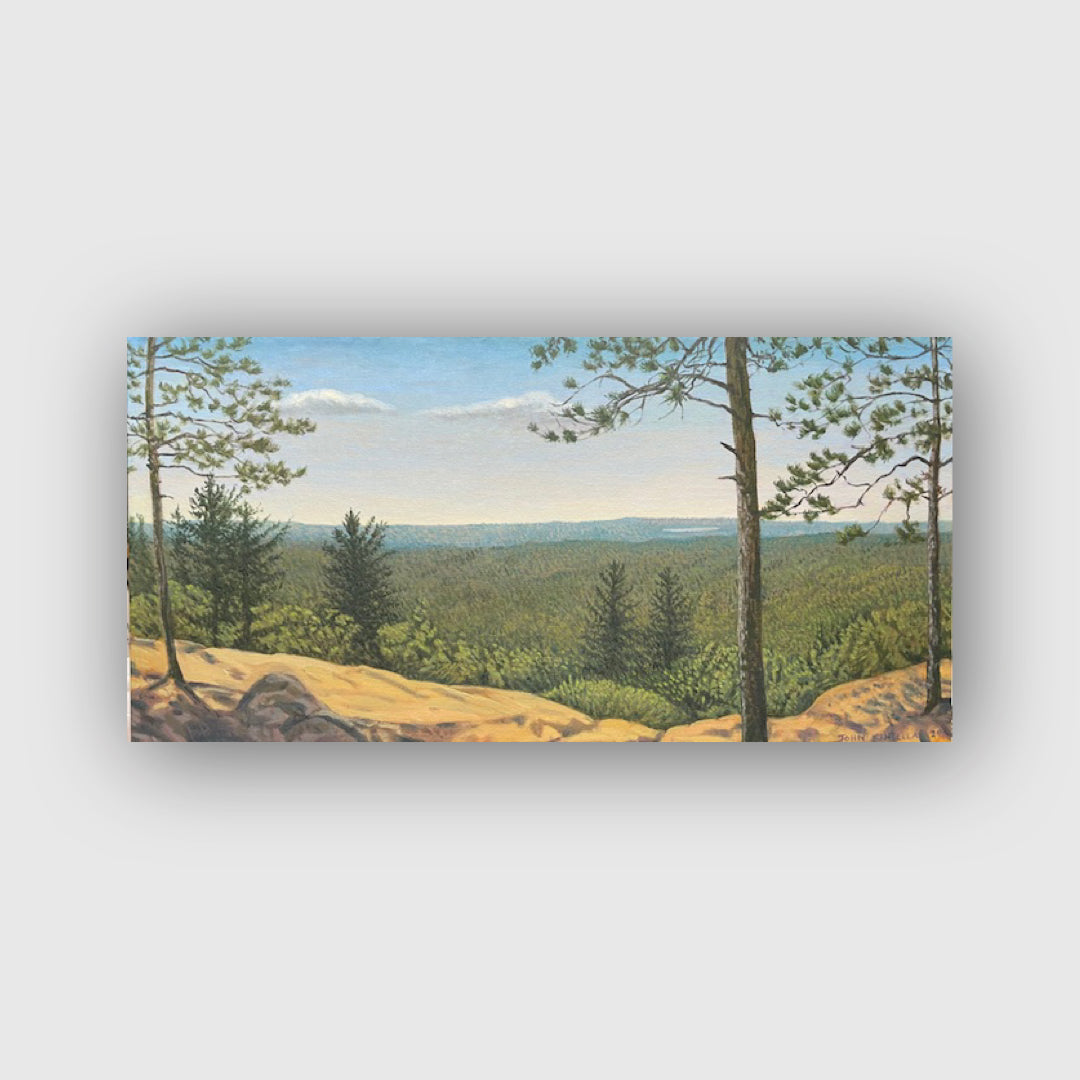 Lookout Trail, Algonquin Park 2025 - John Kinsella