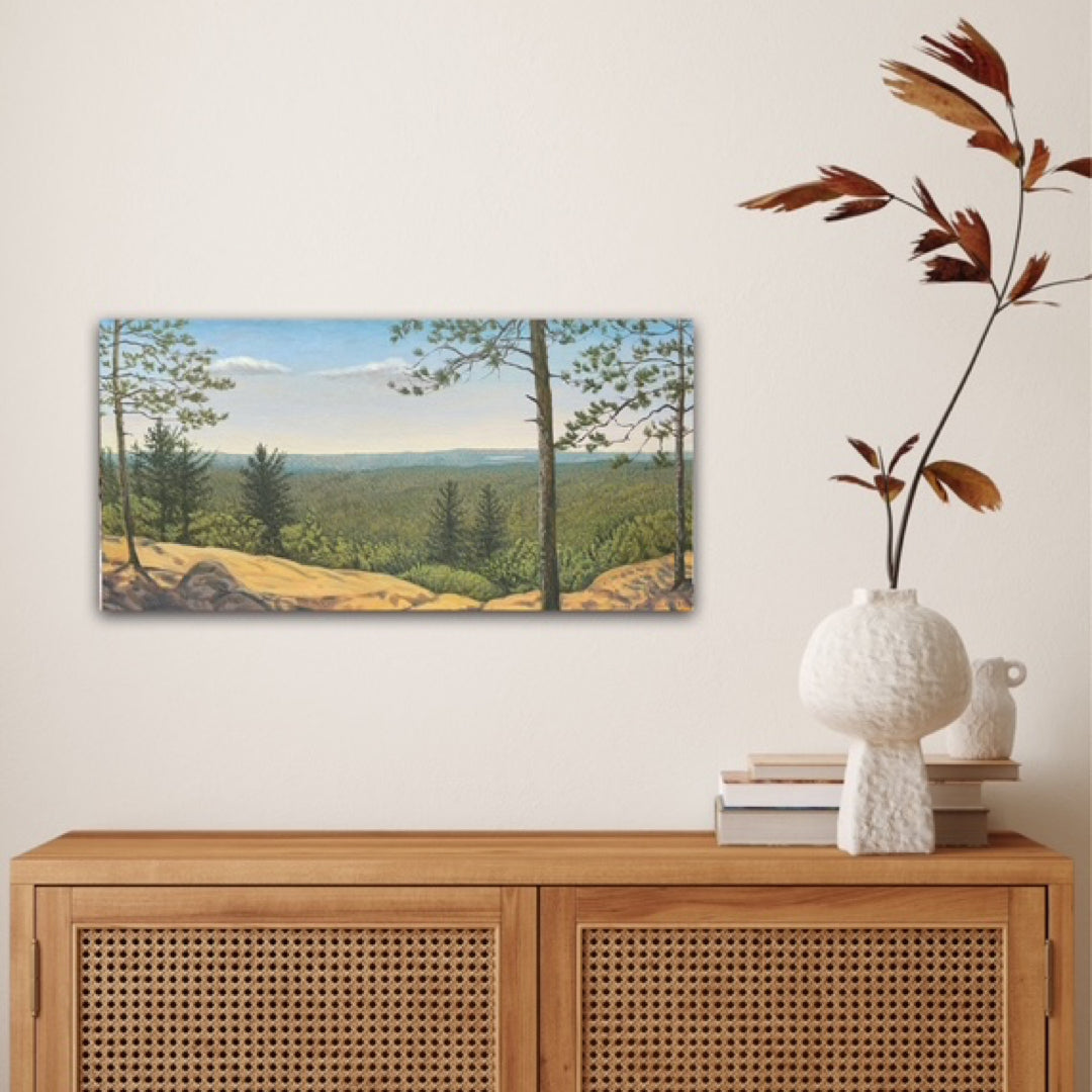 Lookout Trail, Algonquin Park 2025 - John Kinsella