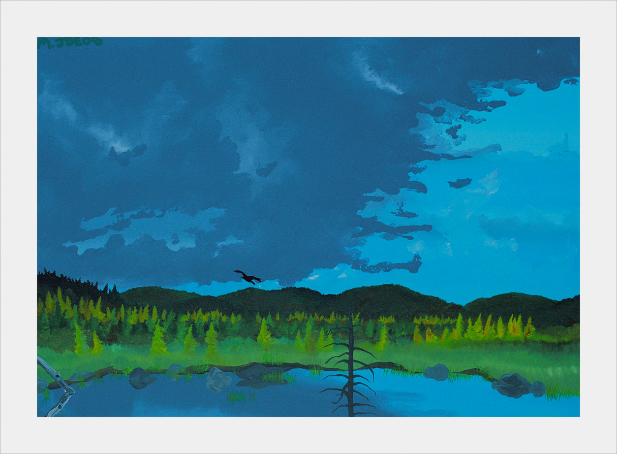 America Votes - Mendelson Joe