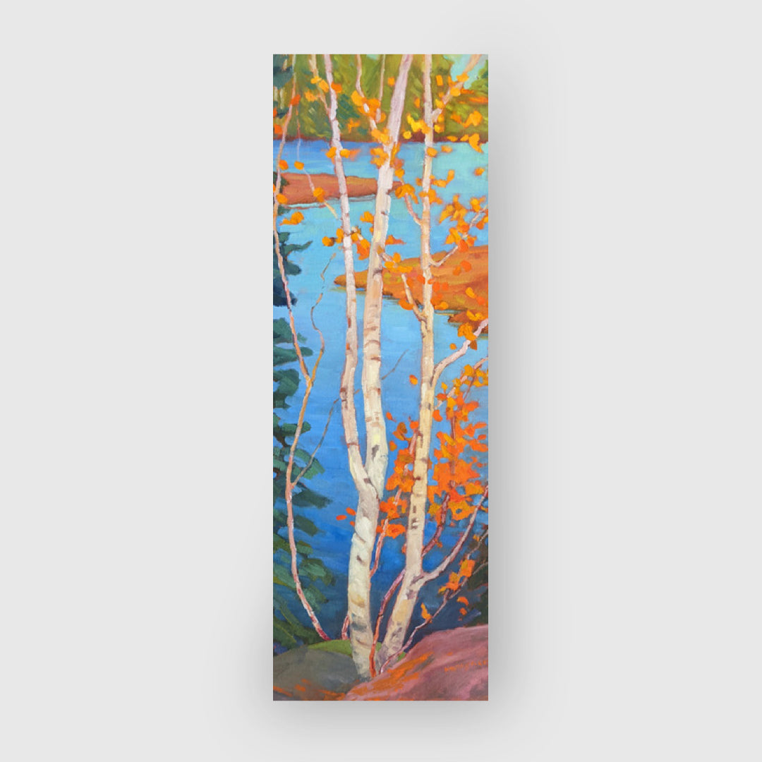 BlueSky Above - Kathy Haycock