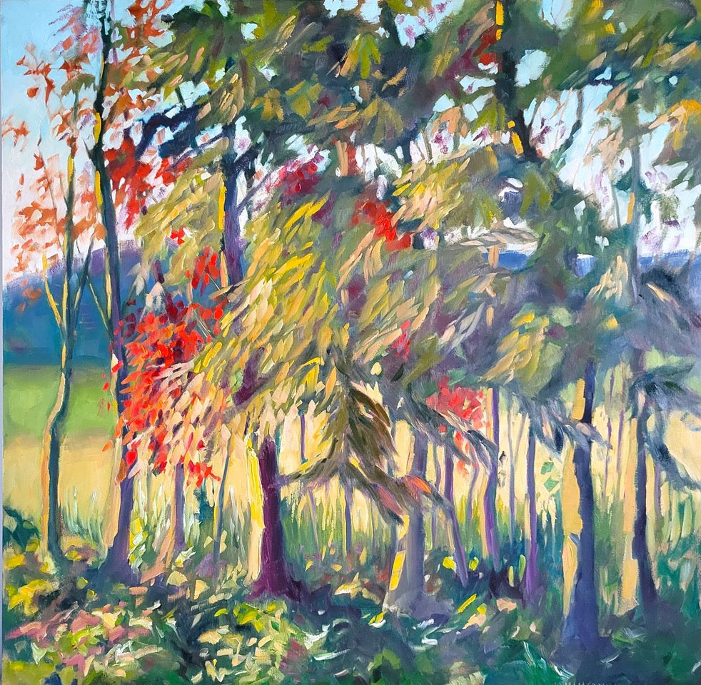 A Change Is In The Air - Marike Macdonald