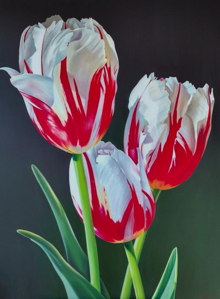 Rembrandt’s Tulips - Michele Van Maurik
