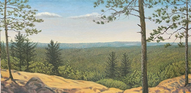 Lookout Trail, Algonquin Park 2025 - John Kinsella