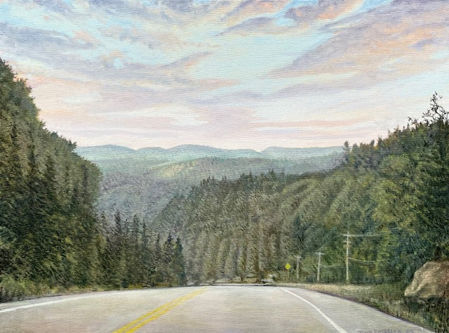 Highway 60, Algonquin Park 2025 - John Kinsella