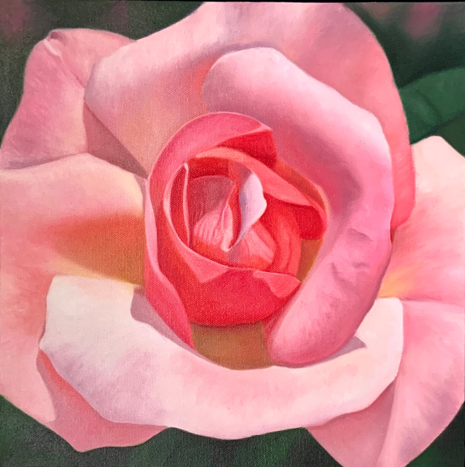 Abbey Rose - Michele Van Maurik