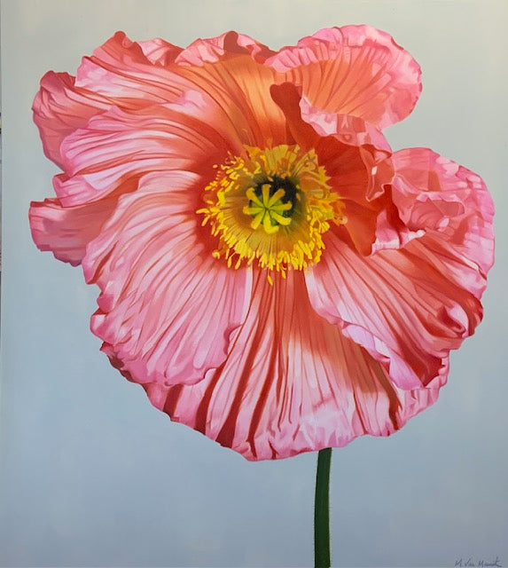 Rapture Of Pink - Michele Van Maurik