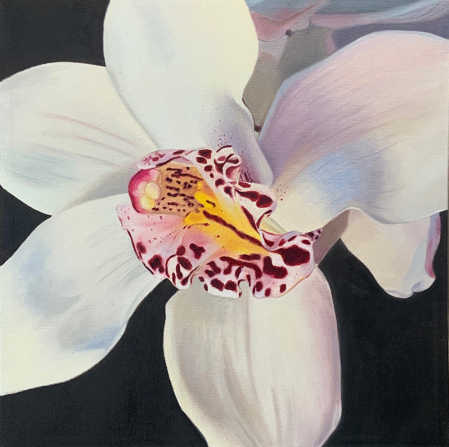 White Reverie - Michele Van Maurik