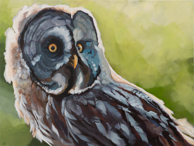 Galileo - Leslie Starr