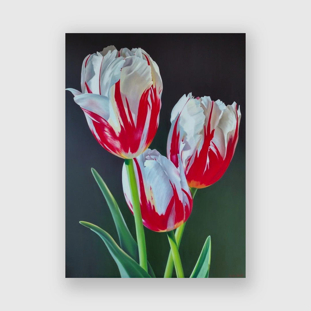 Rembrandt’s Tulips - Michele Van Maurik