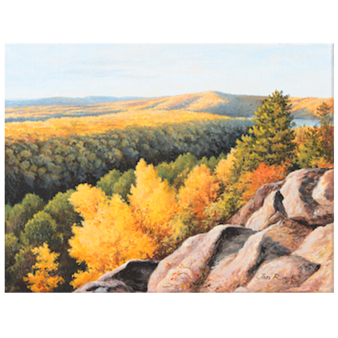 Sunny Afternoon 'Algonquin Park' - Jan Rinik