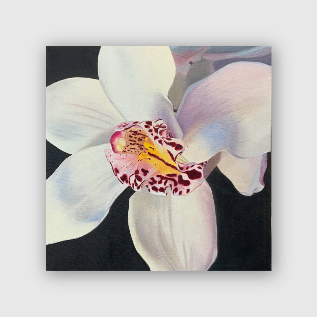 White Reverie - Michele Van Maurik