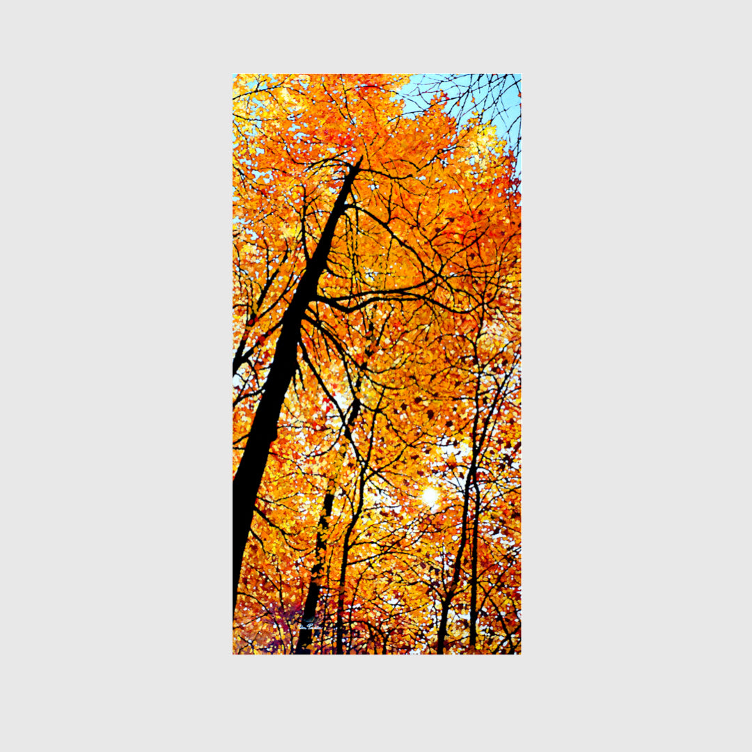 Amber Lustre (Giclée) - Tim Packer