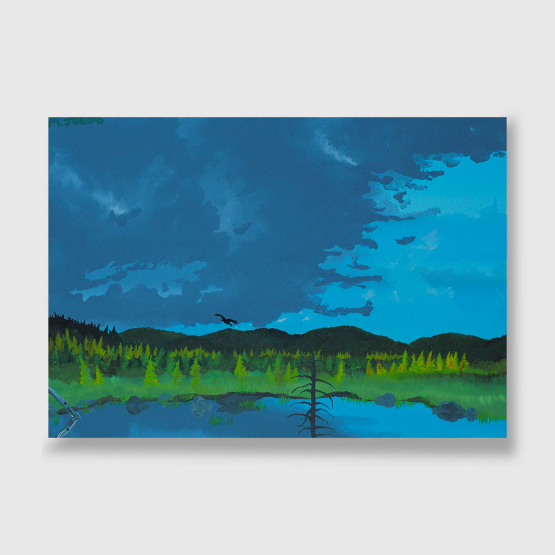 America Votes - Mendelson Joe