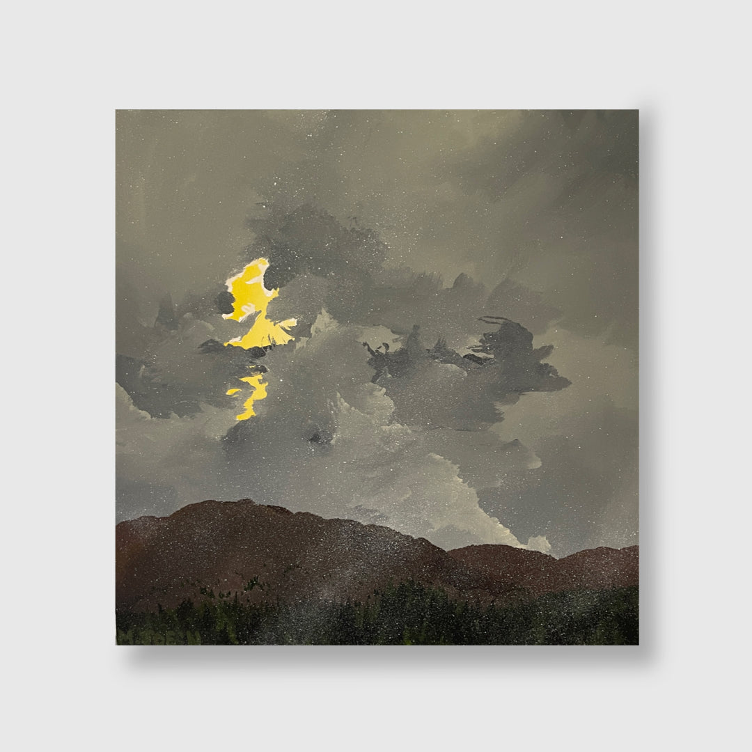 April 17th Blizzard, 2011 - Mendelson Joe