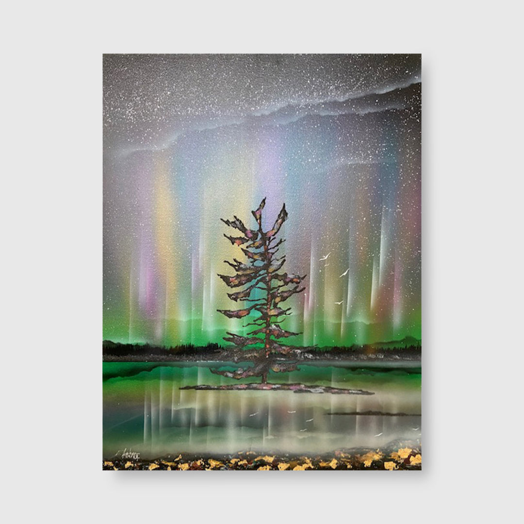 Amazing Aurora - Ed Ambros