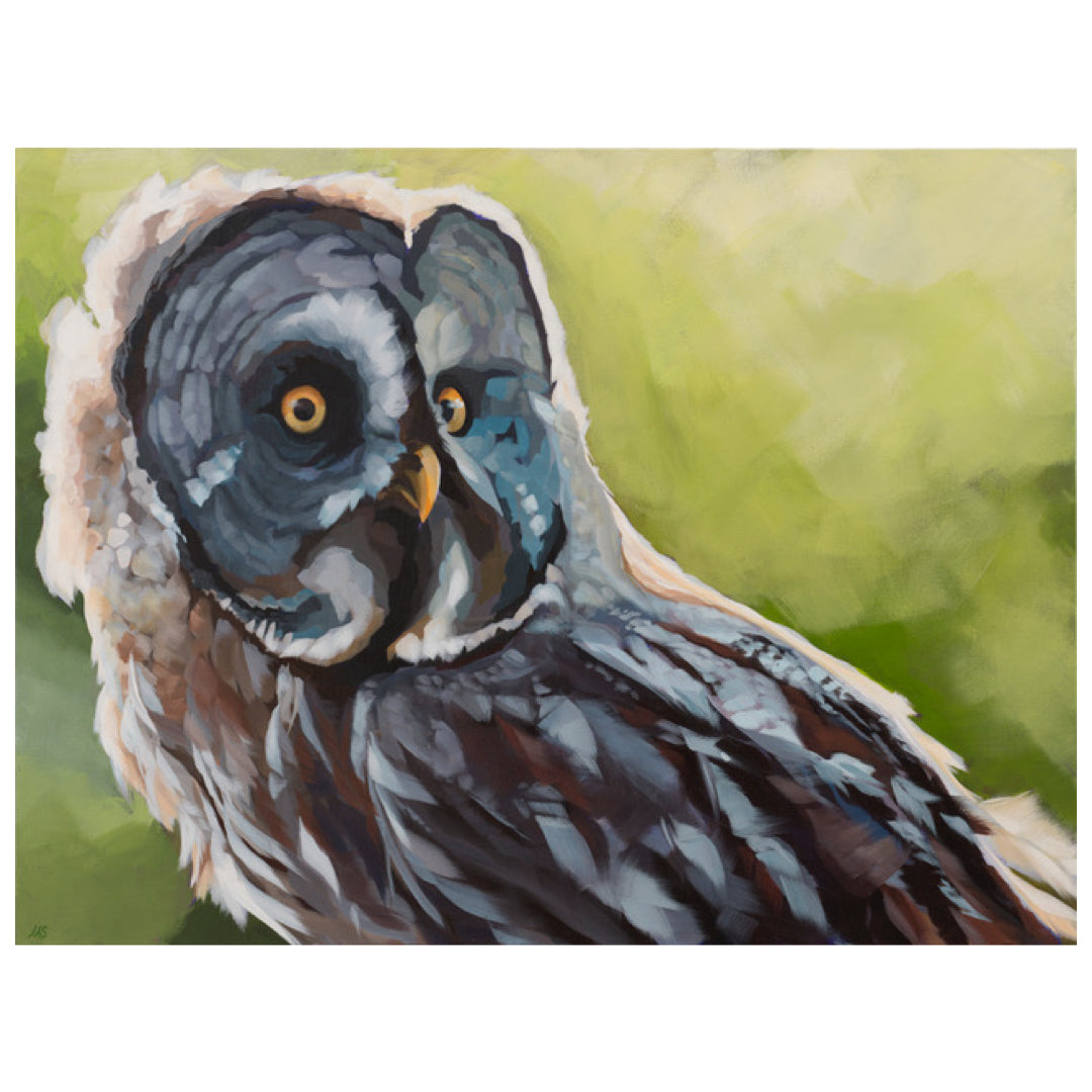 Galileo - Leslie Starr