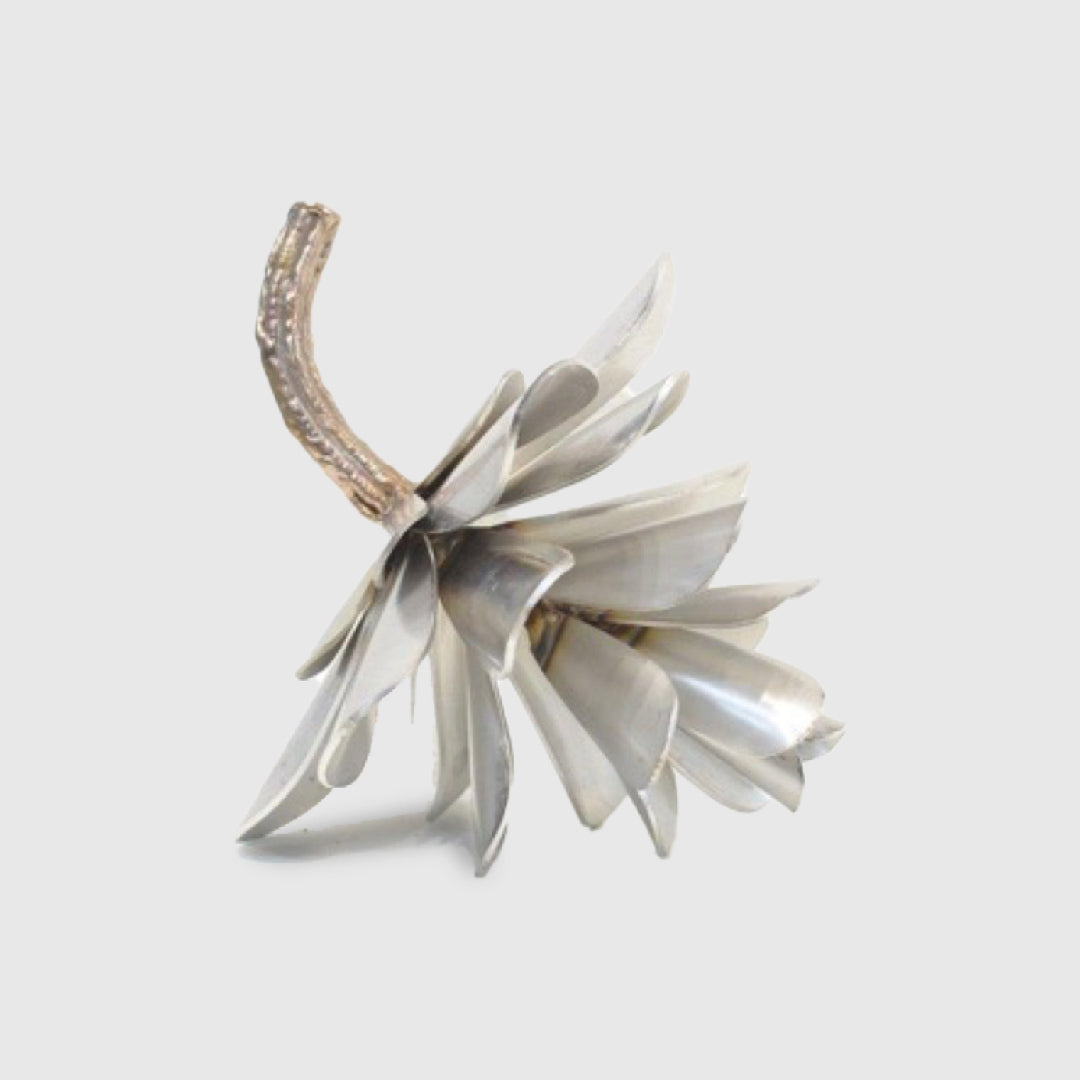 Pine Cone II - Floyd Elzinga