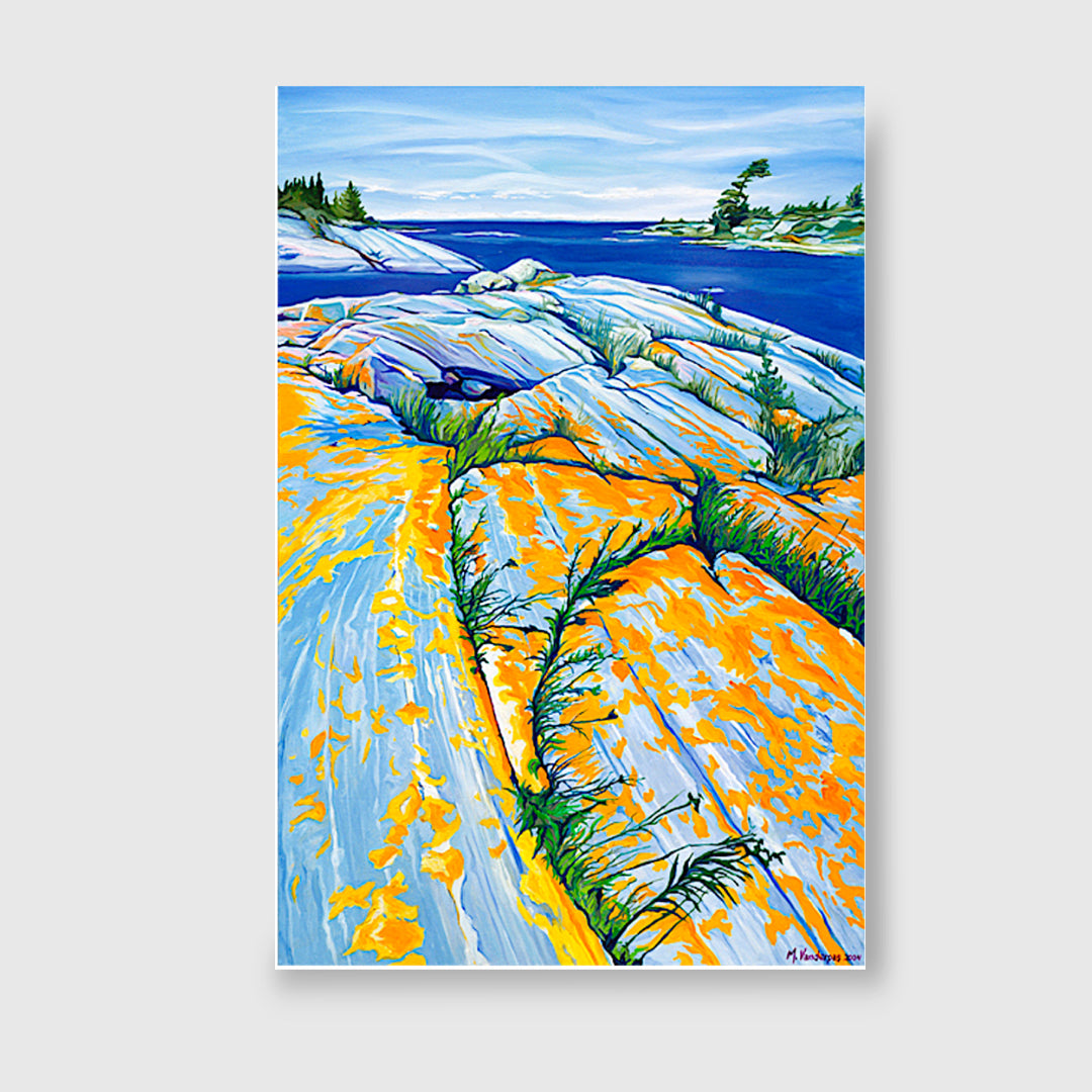 Lichen, Georgian Bay (giclée) - Margarethe VanderPas