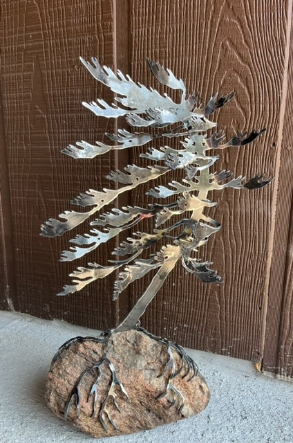 Single Windswept Pine - Cathy Mark