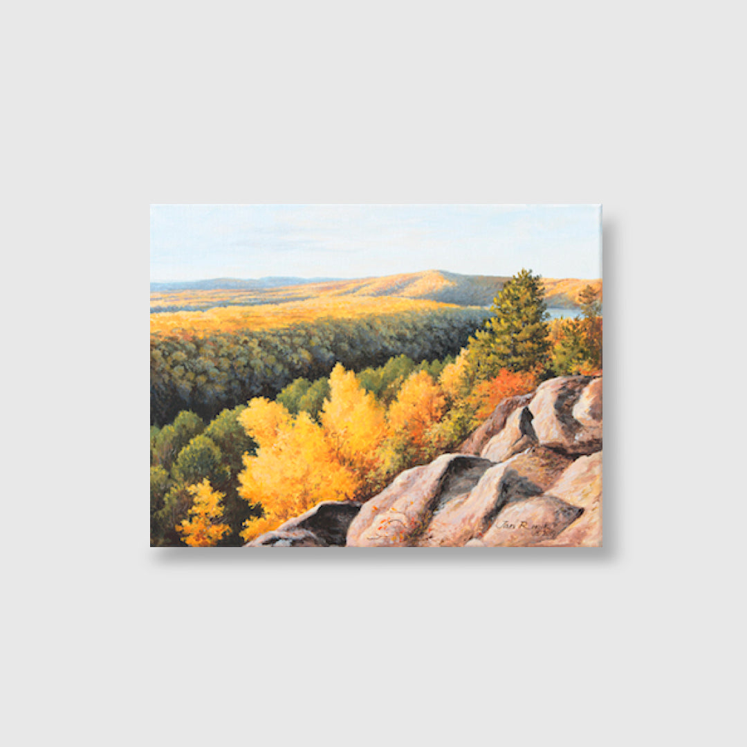 Sunny Afternoon 'Algonquin Park' - Jan Rinik