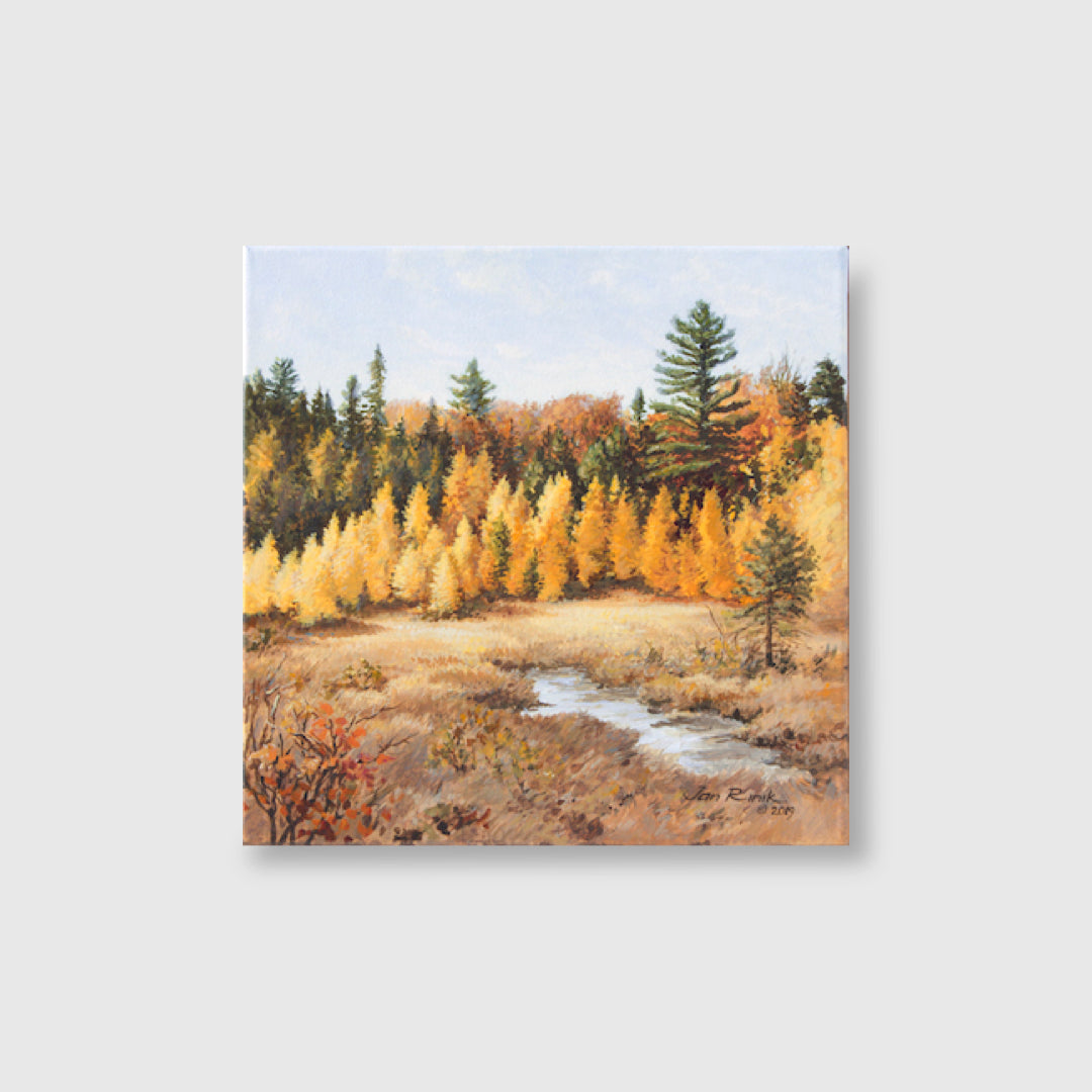 Tamaracks 'Hemlock B.Trail' - Jan Rinik