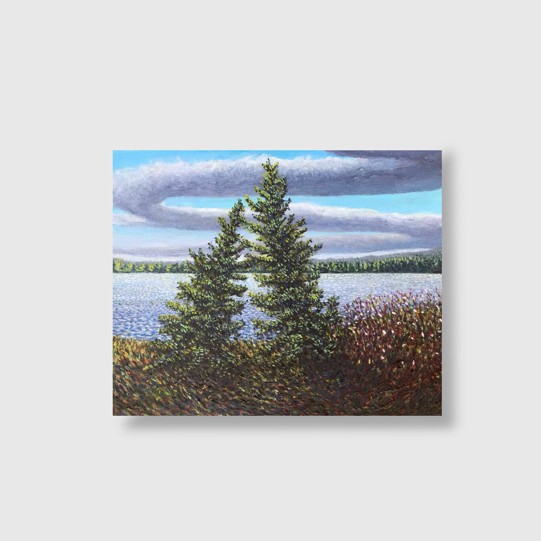 The Far Shore - John Kinsella