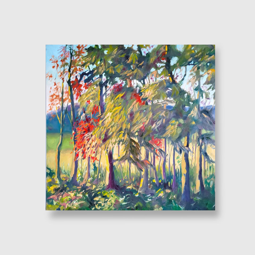 A Change Is In The Air - Marike Macdonald