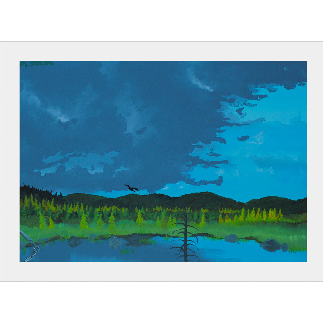 America Votes - Mendelson Joe