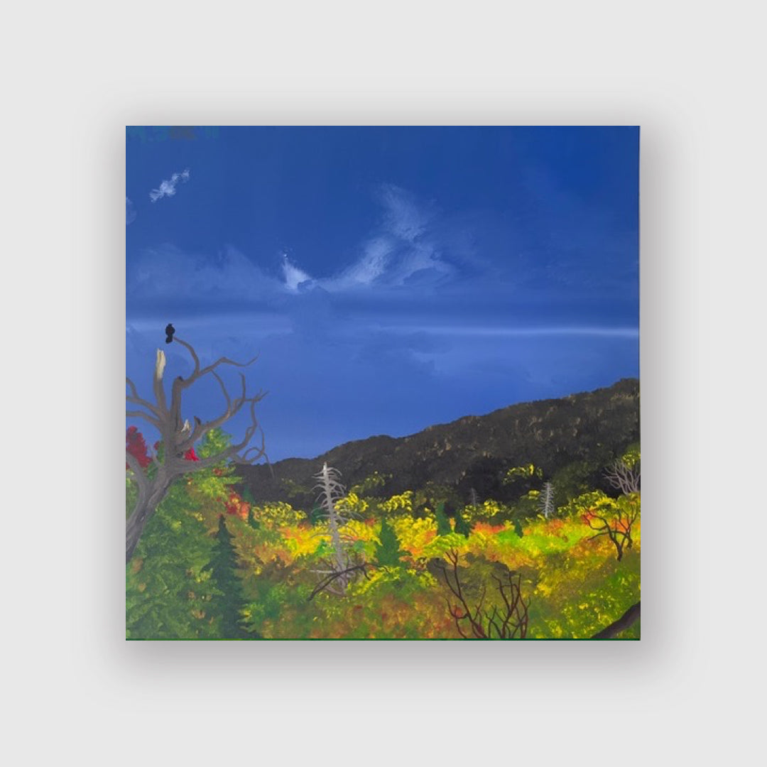 My Opinion - Mendelson Joe