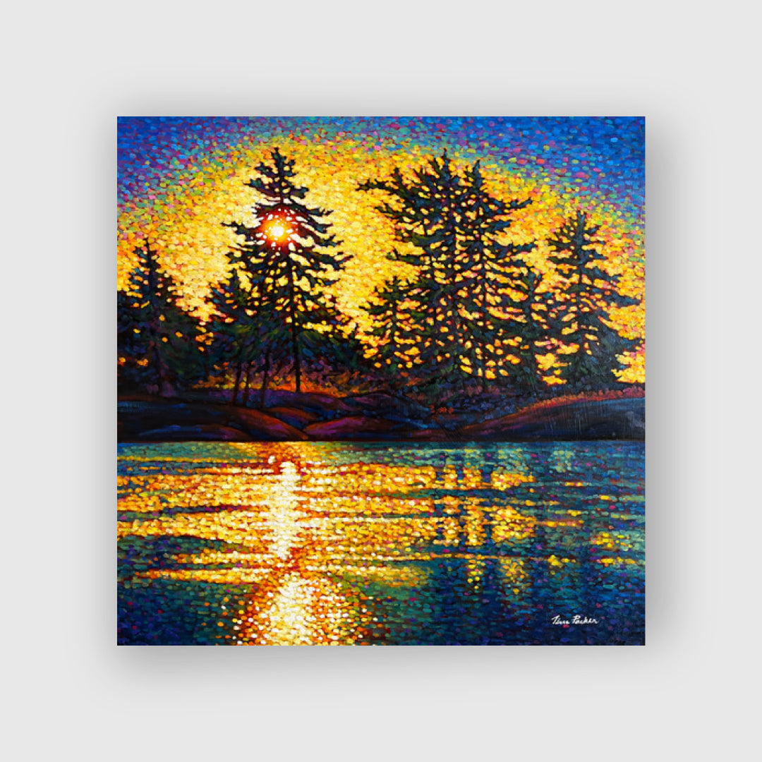 Blazing North - Tim Packer