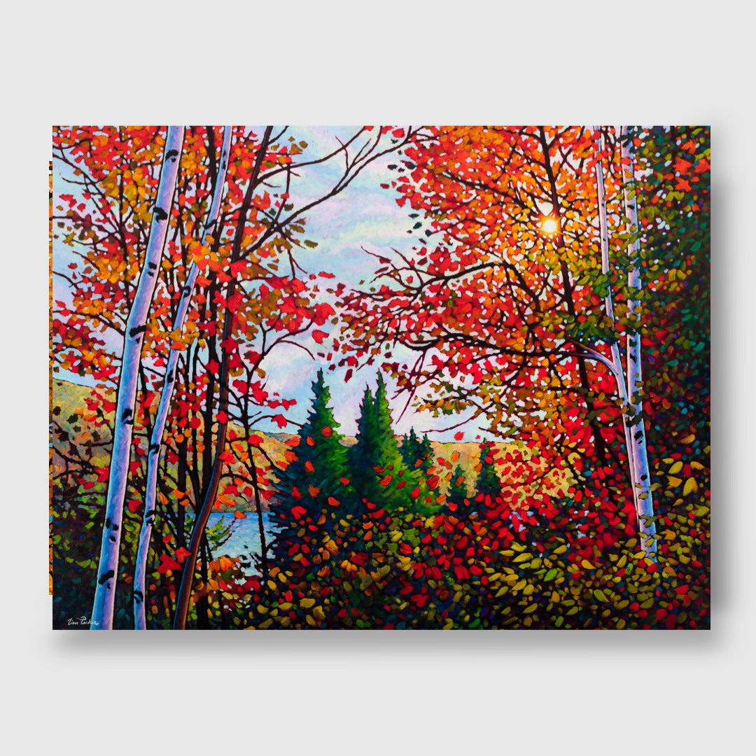 October Romance - Tim Packer