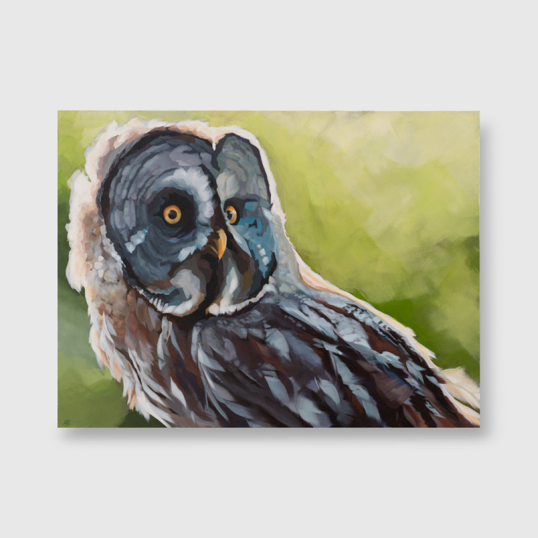 Galileo - Leslie Starr