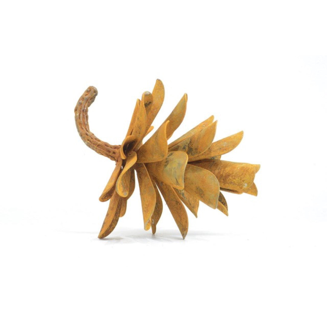 Pine Cone - Floyd Elzinga