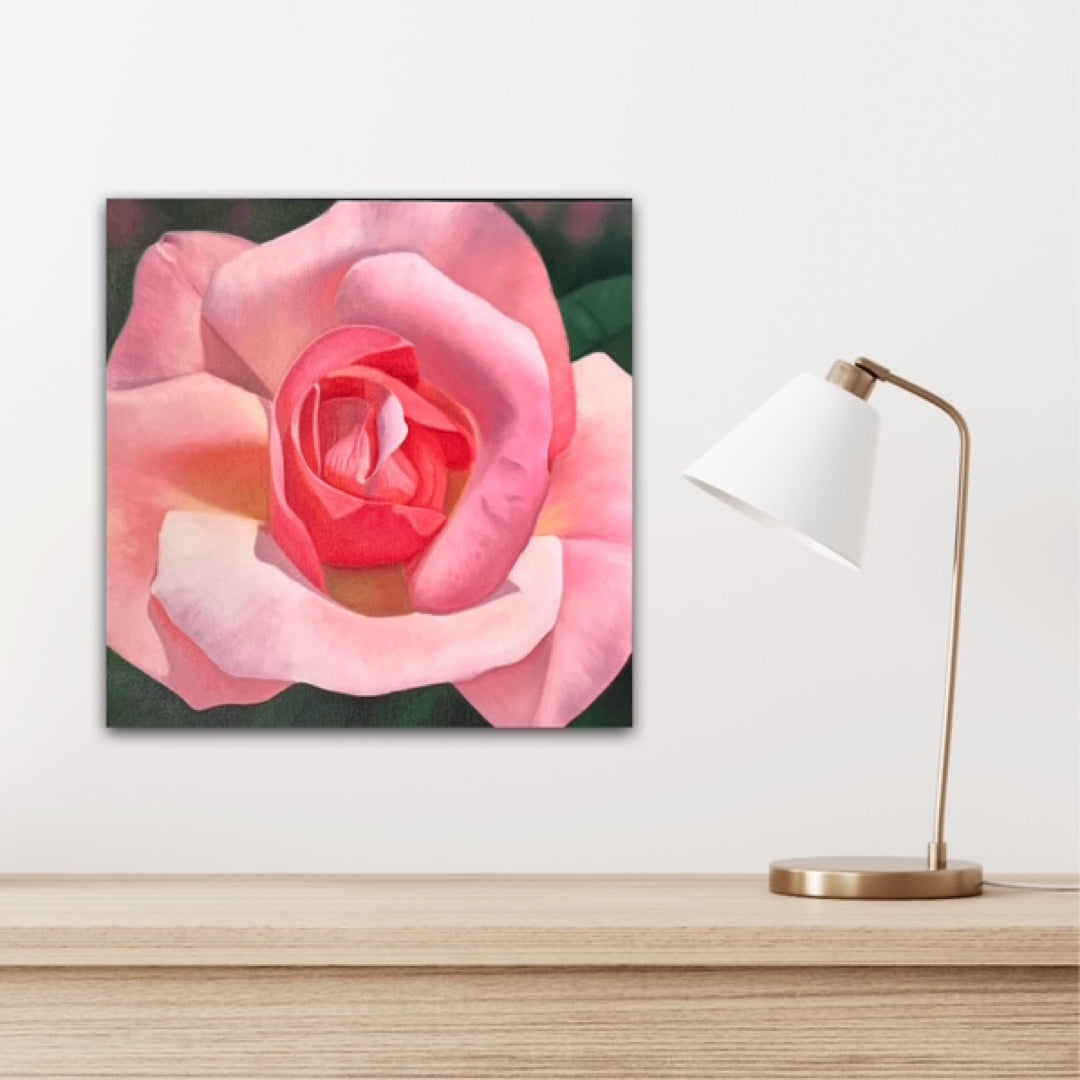 Abbey Rose - Michele Van Maurik