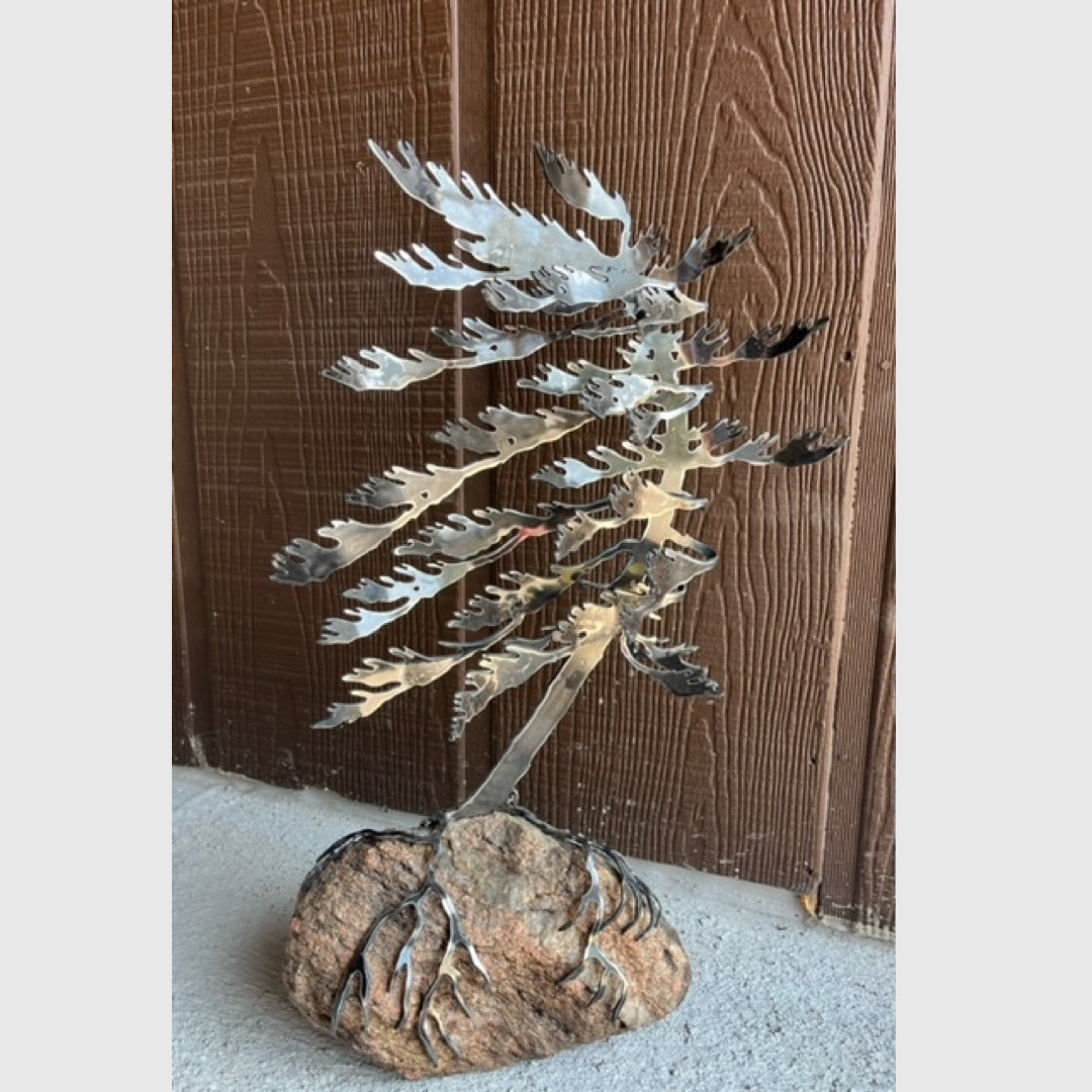 Single Windswept Pine - Cathy Mark