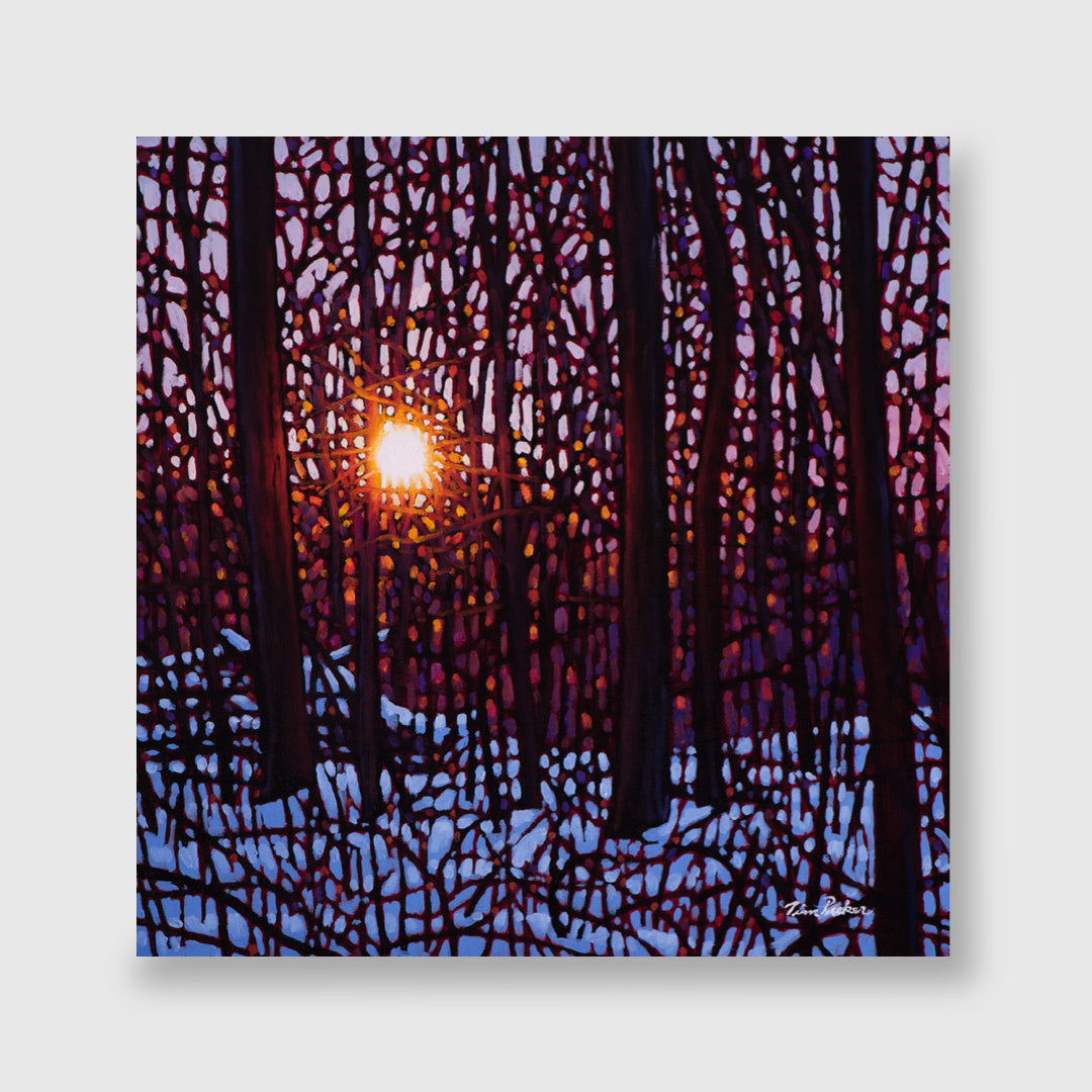 Twilight Walk - Tim Packer