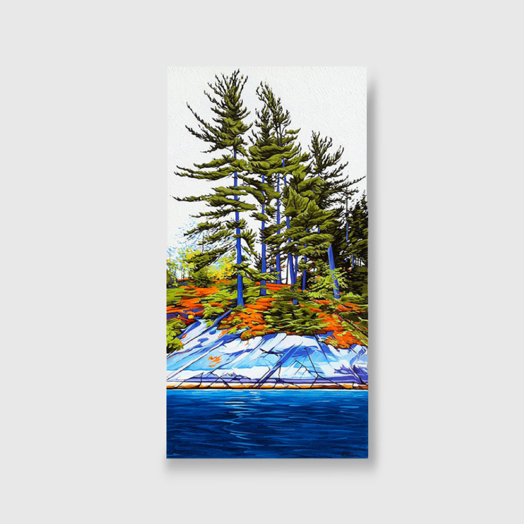 Shoreline Fraser Bay (Giclee)- Margarethe VanderPas