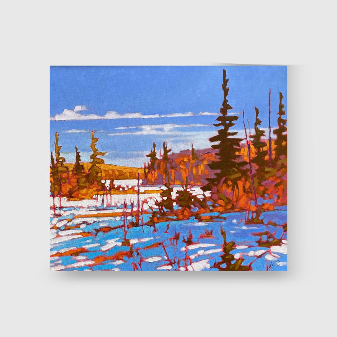 Winter Shadows - John Lennard