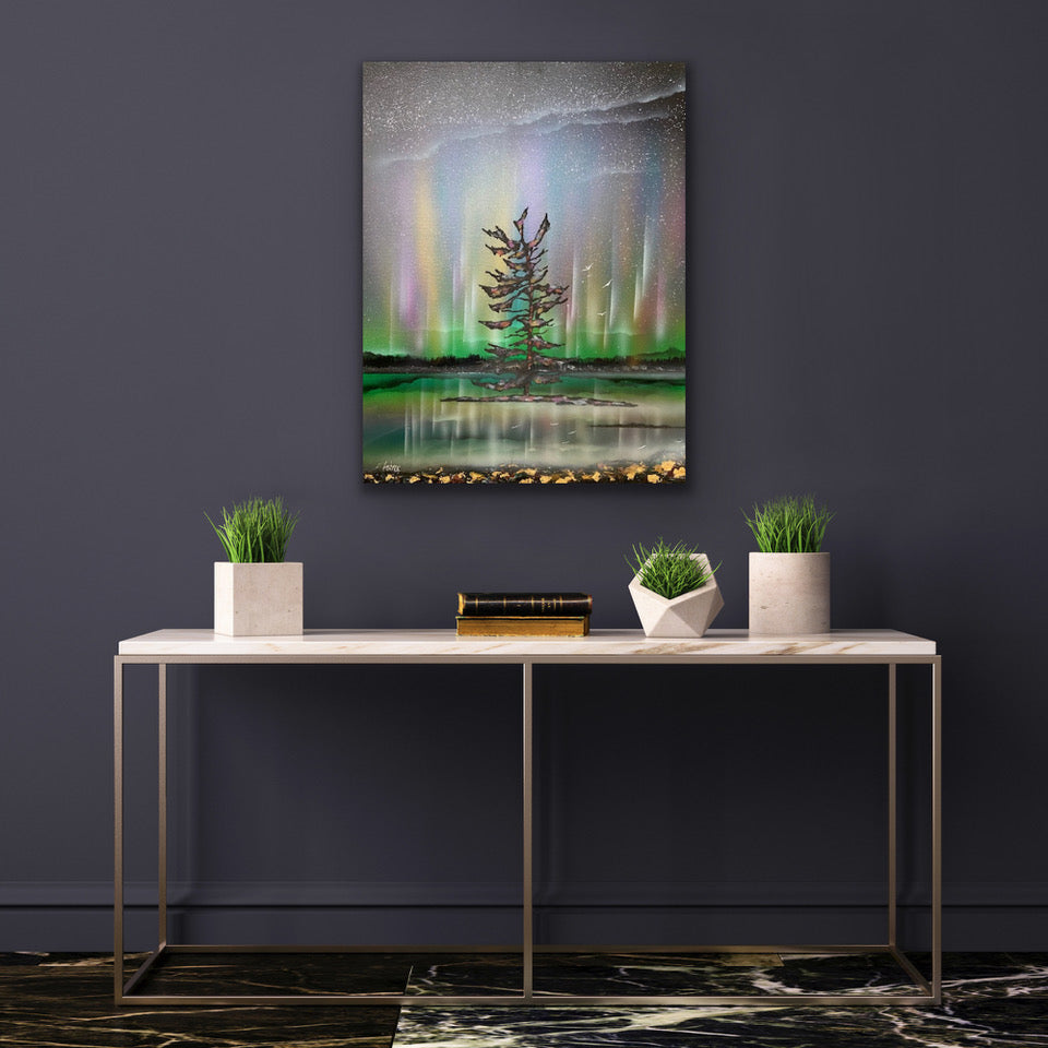 Amazing Aurora - Ed Ambros