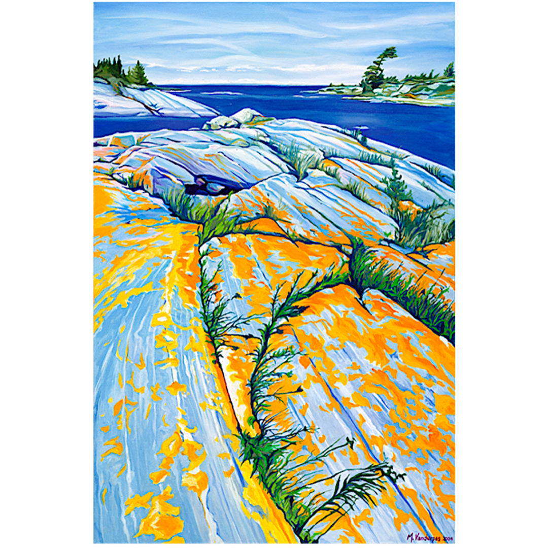 Lichen, Georgian Bay (giclée) - Margarethe VanderPas