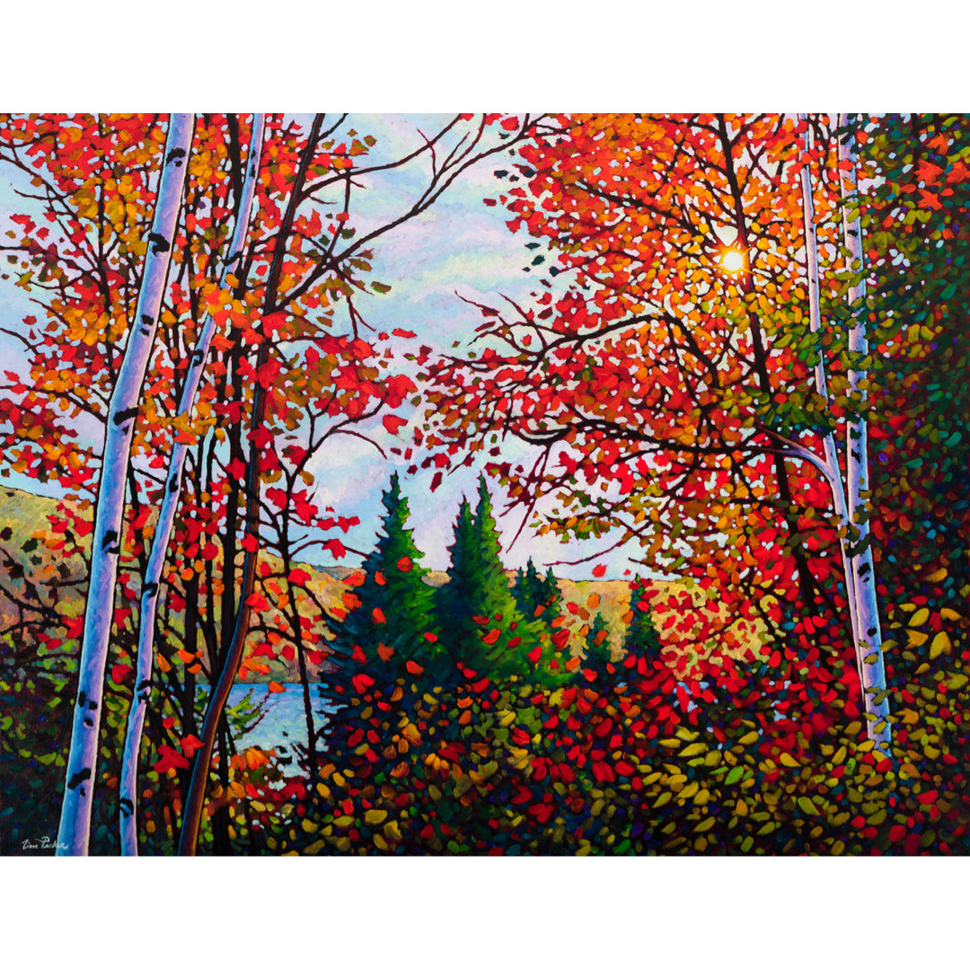 October Romance - Tim Packer