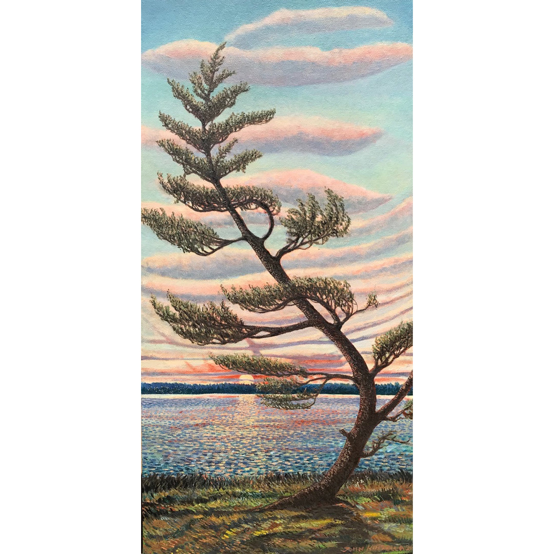 Summer Evening, Algonquin - John Kinsella