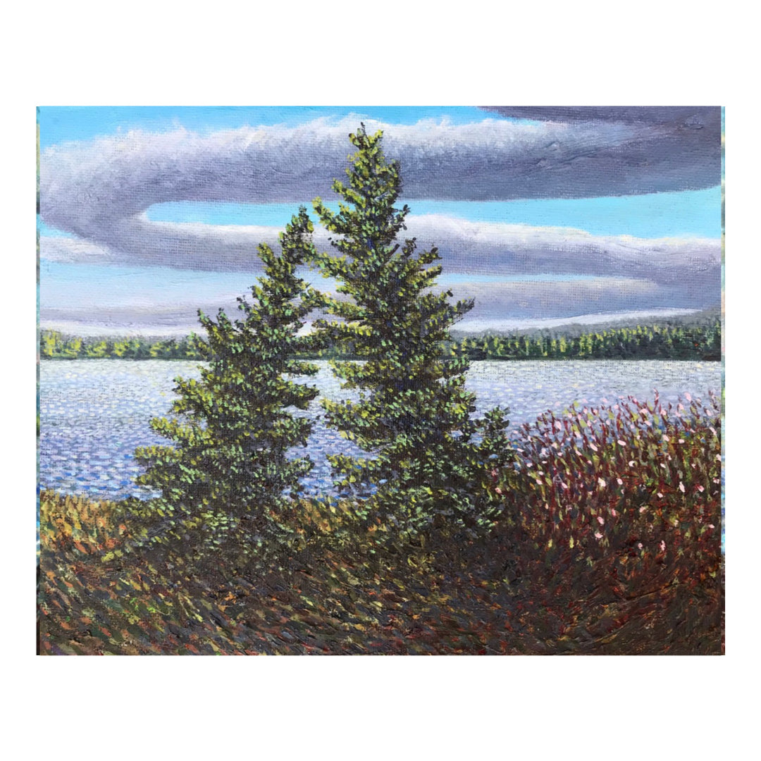 The Far Shore - John Kinsella