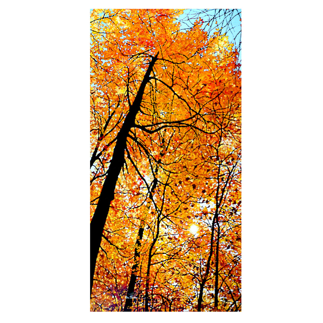 Ambre Lustre (print) - Tim Packer-Print-Eclipse Art Gallery