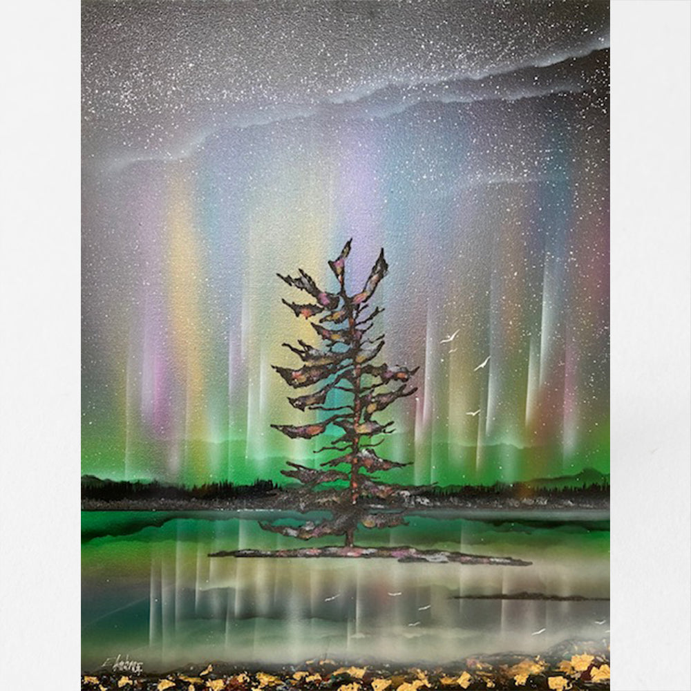 Amazing Aurora - Ed Ambros