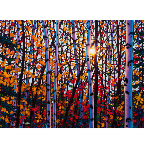 Brilliant Beauty - Tim Packer-Painting-Eclipse Art Gallery