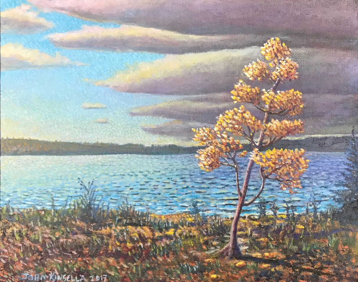 Clearing Storm - John Kinsella